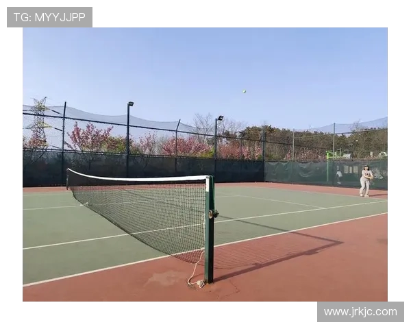 探索网球运动魅力与全球赛事发展趋势全景解析深度观察未来竞技格局