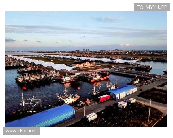 探寻宁波町渥的海港风情与现代产业融合发展之路